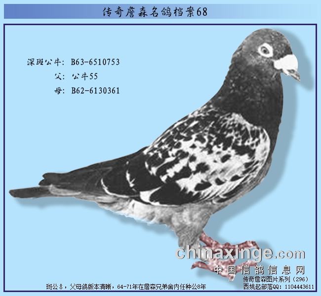 ղɭ뵵ţ63