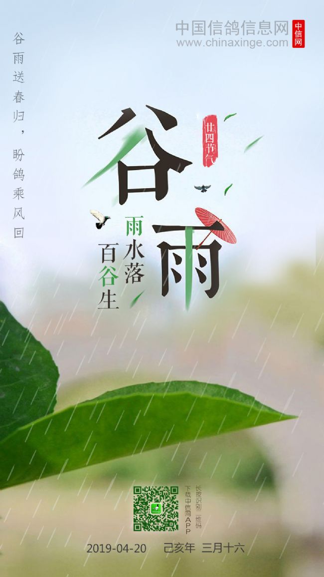 ´ڞg[DƬ