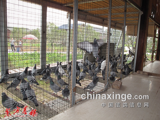 殷棚两人口_光山县殷棚中学图片(3)