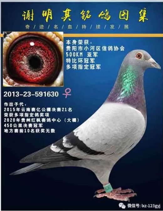 20201201113458868.png