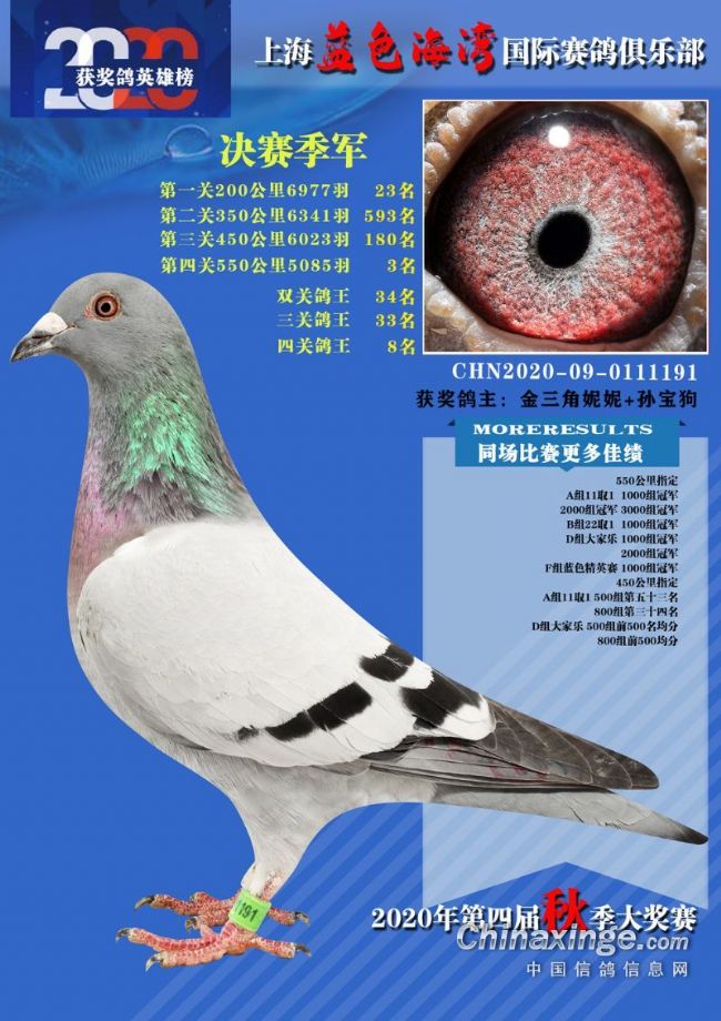 上海蓝色海湾2020年获奖鸽同步拍卖会