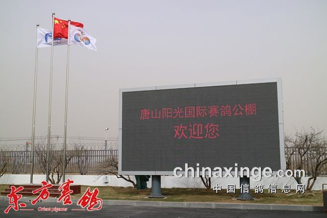 唐山阳光赠送给教练的训放车 阳光公棚鸽友休息,交流,观赛厅 服务