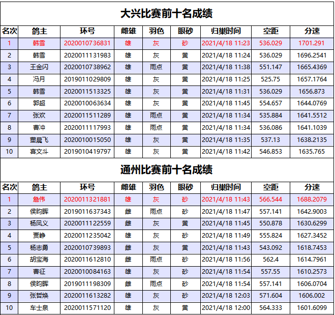 正式放榜北京全市联翔赛冠亚军均归80后鸽友