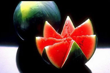 西瓜皮对赛鸽的妙用-中信网信鸽园地