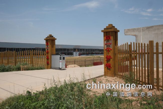 赛鸽春棚新地标西安威奇春棚现象观察